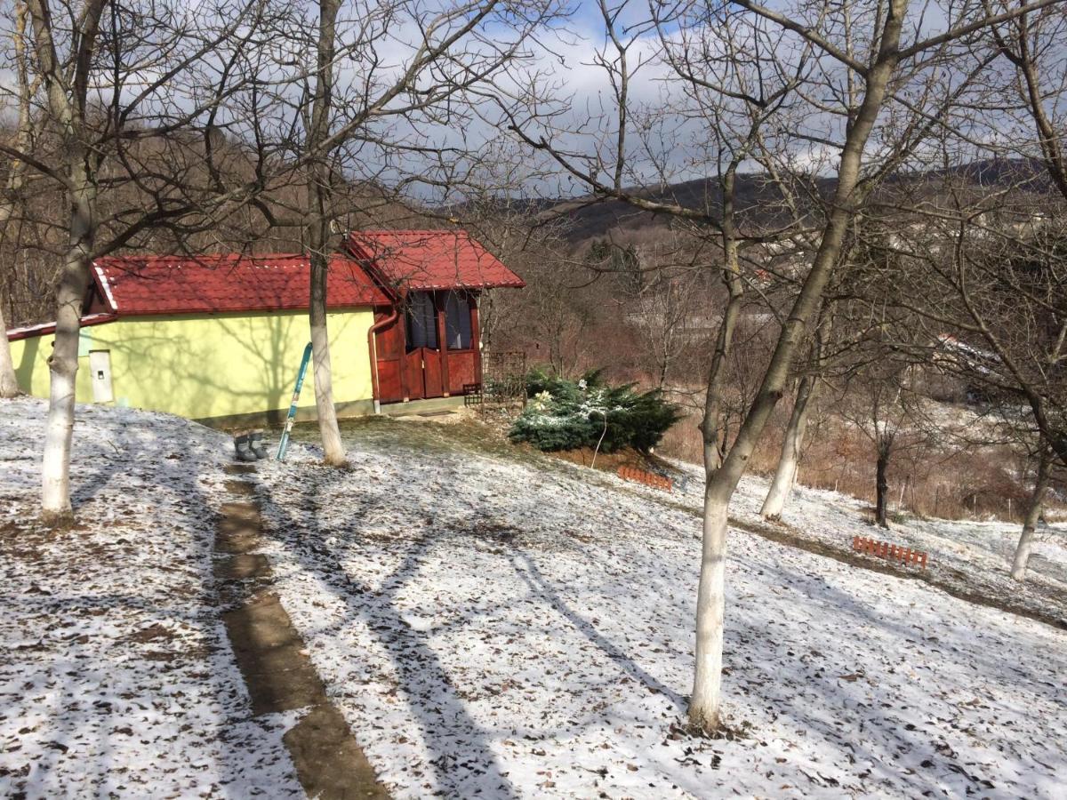 Holiday Home Nanin Konak 2 Vrdnik Exterior photo